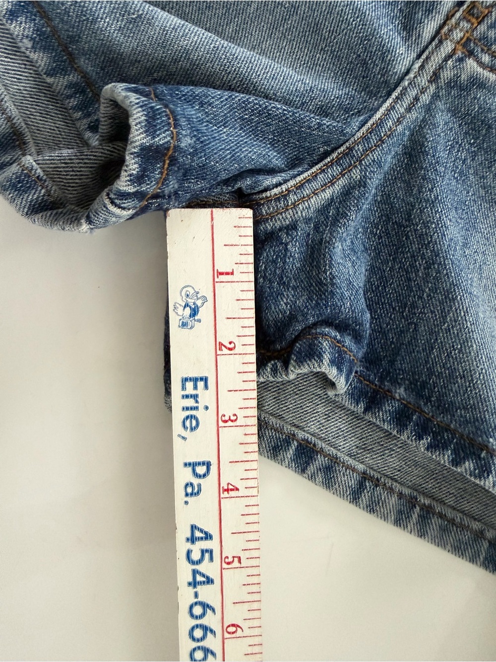 Shorts - Picture 5 of 5